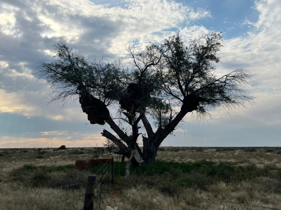 2 Bedroom Property for Sale in Prieska Rural Northern Cape